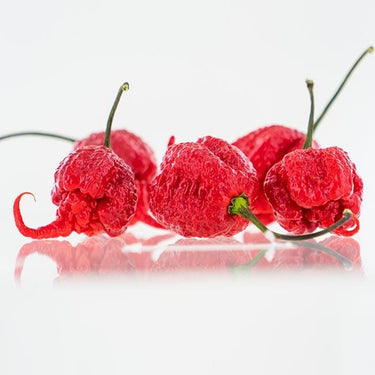 Carolina Reaper Pepper Seeds | HP22B - The Pepper Pantry (Formerly Marie Sharp's)